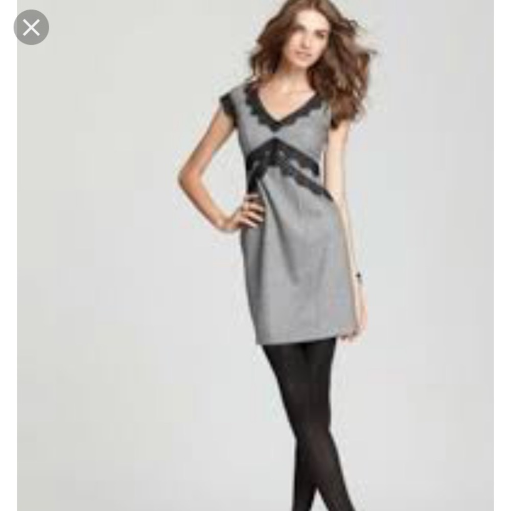 Rebecca Taylor Gray Dress